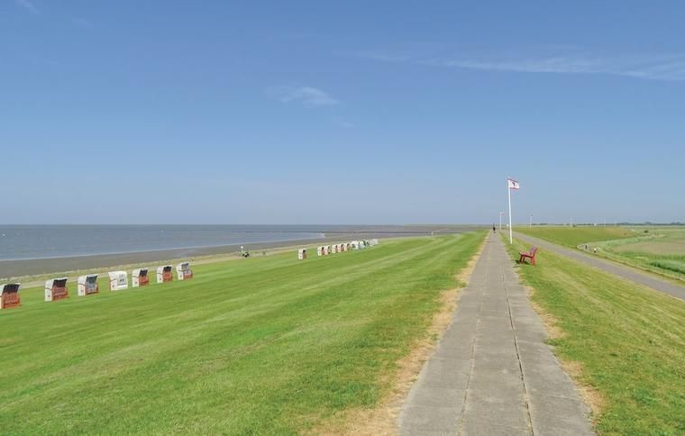 Büsum mit Hund Unterkünfte und Ausflugsziele NOVASOL.de