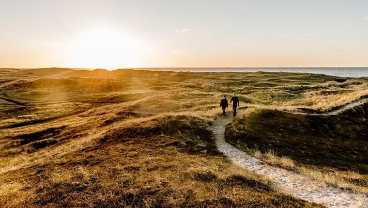 Dänemark Nationalpark Thy Klitmöller