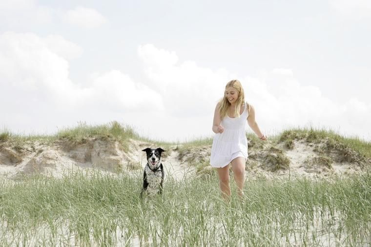 ferienhauser fur den urlaub mit hund holland novasol de