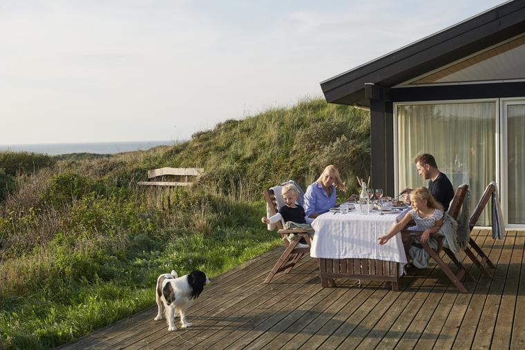 Urlaub mit Hund Dänemark NOVASOL.de