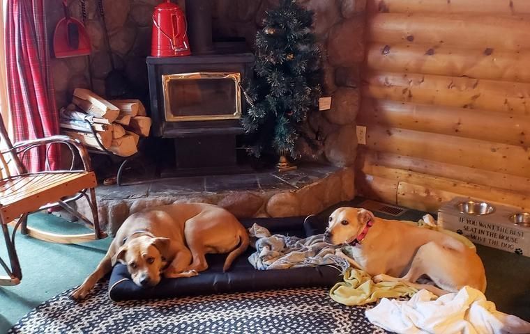 Urlaub in den Bergen mit Hund NOVASOL.de