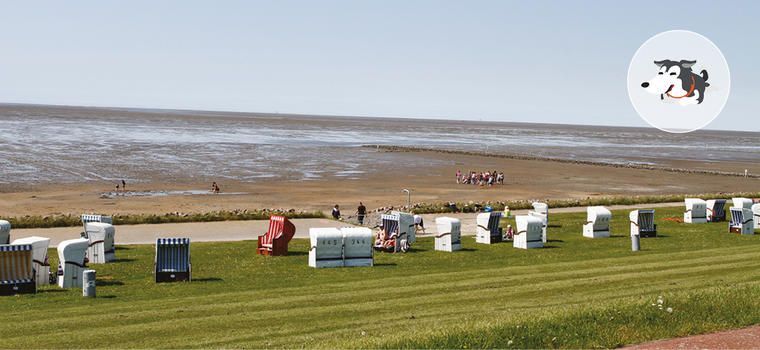 Hundestrand Friedrichskoog Nordsee