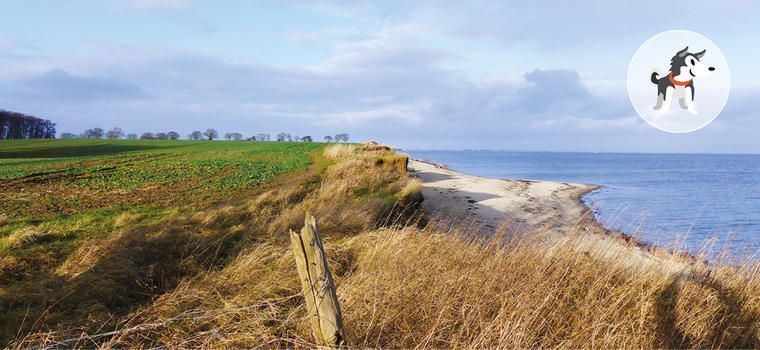 Hundestrand Süssau