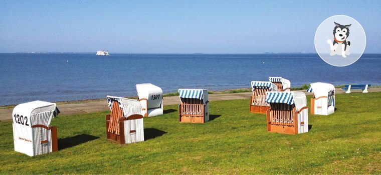 Hundestrand Dagebüll Nordsee