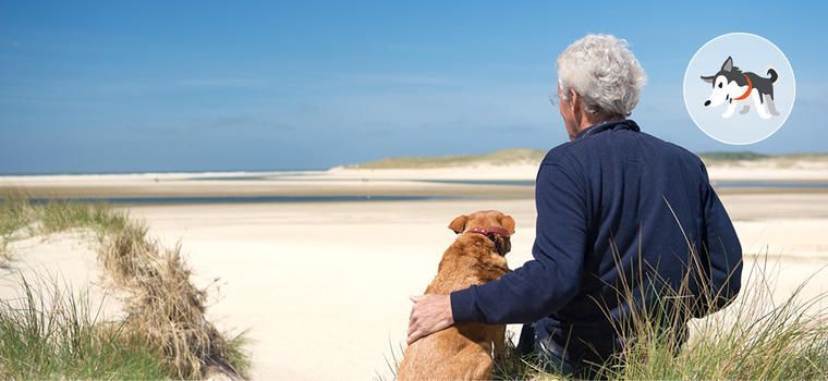 Hundestrand Holland