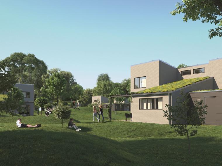 Ferienhaus Dümmer See