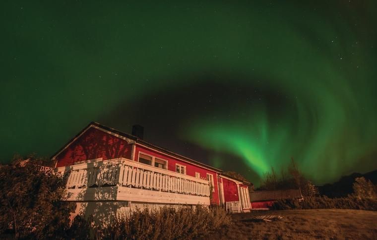 Ferienhaus Lofoten Hund