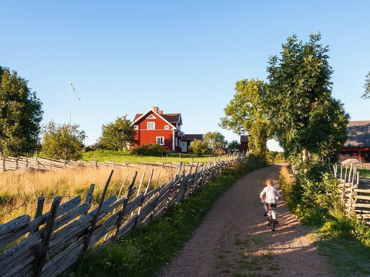 Urlaub im Ferienhaus Schweden mit Hund NOVASOL.de