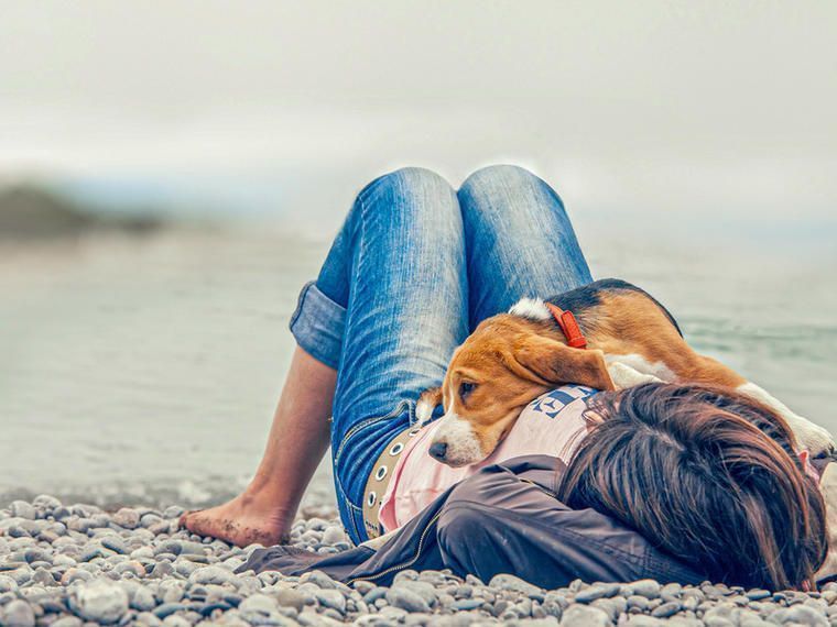 Urlaub mit Hund im Ferienhaus in Polen NOVASOL.de