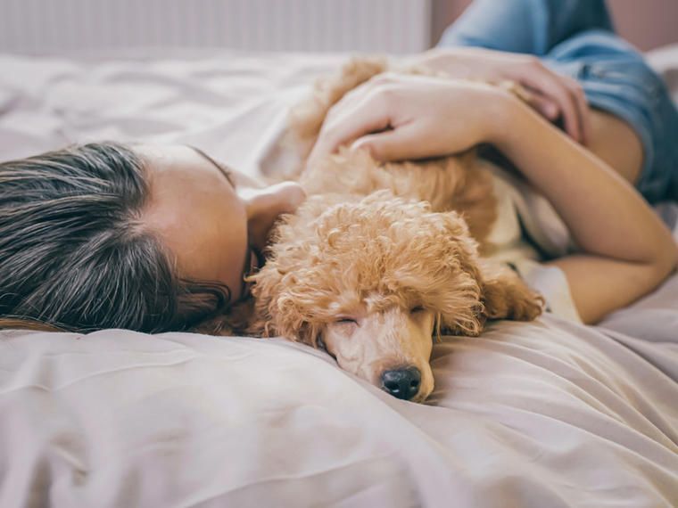 Silvester mit Hund im Ferienhaus | NOVASOL.de