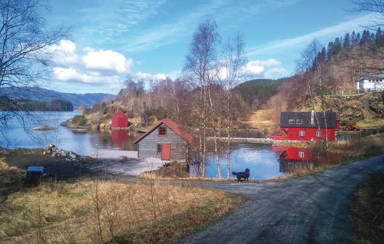 Ferienhaus Norwegen mit Hund