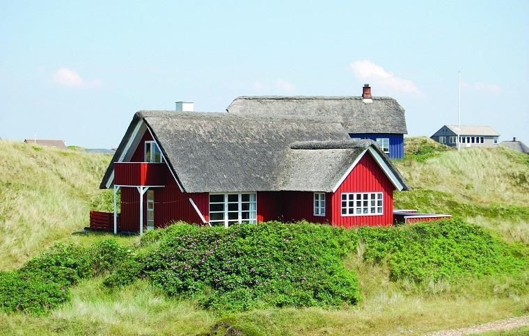Blavand Ferienhaus Mit Hund