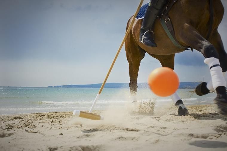 Beach Polo Rügen