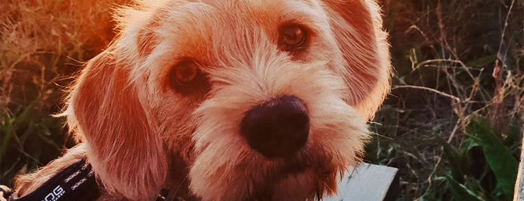 NOVASOL Fotowettbewerb