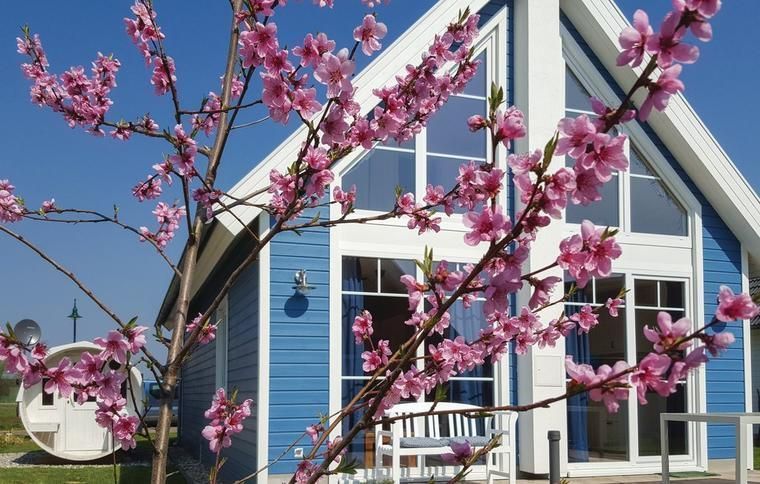 Frühling im Hafendorf Zerpenschleuse