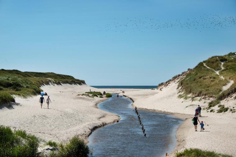 Fahrradurlaub In Danemark Die Schonsten Radwege Schultz Feriehuse