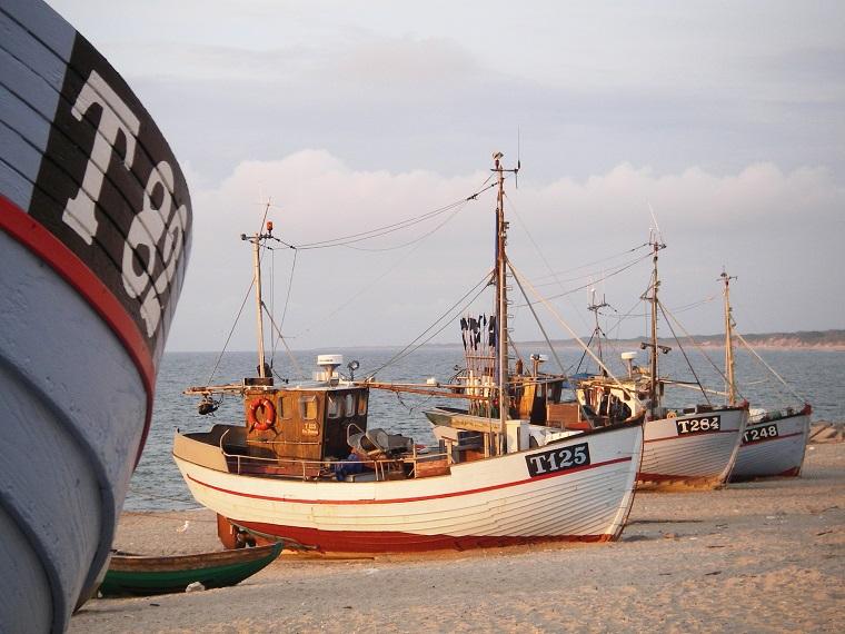 Urlaub am Strand Vorupör