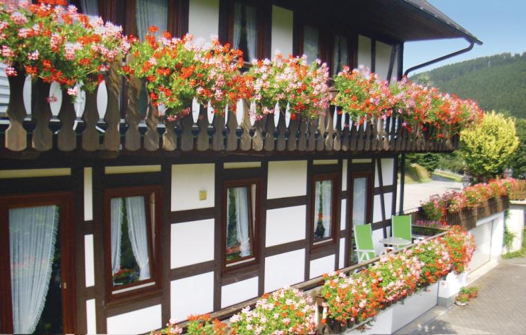Ferienhaus Münsterland