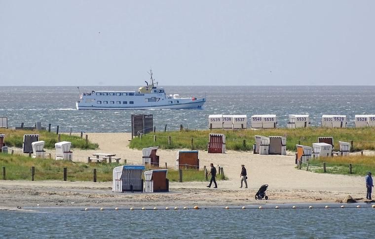 Hundestrand