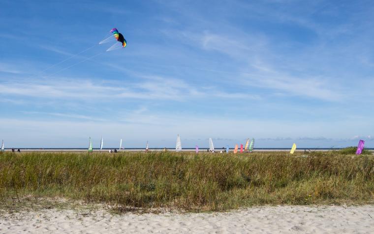Urlaub Schiermonnikoog