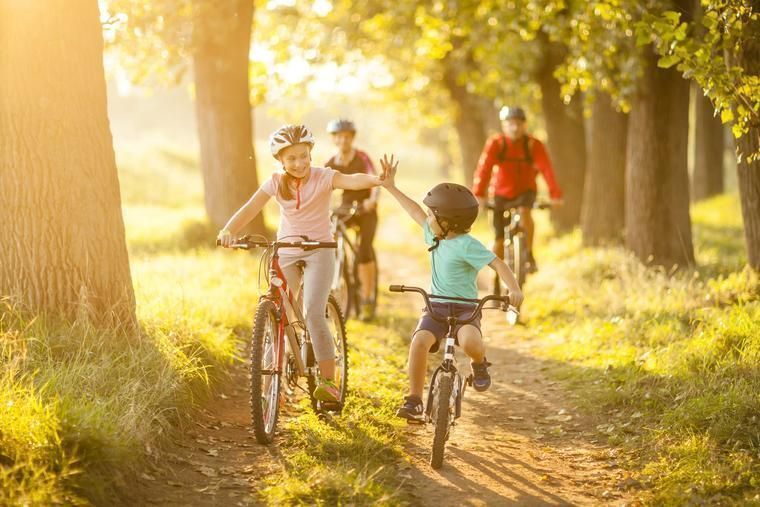 Fahrradtouren mit der Familie - Familienurlaub Dümmer See