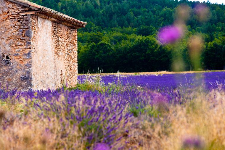 Ferie i Aude