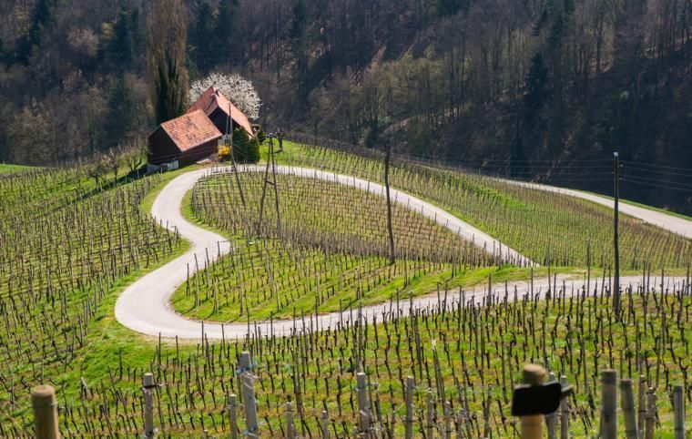 Upplev naturen i Slovenien