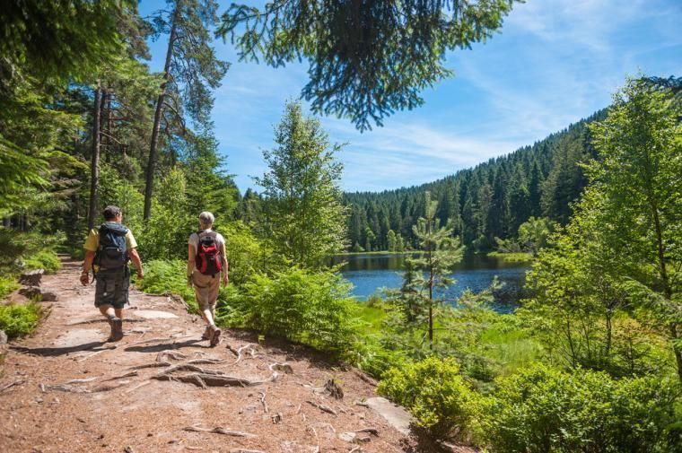 Ferienhäuser im Schwarzwald