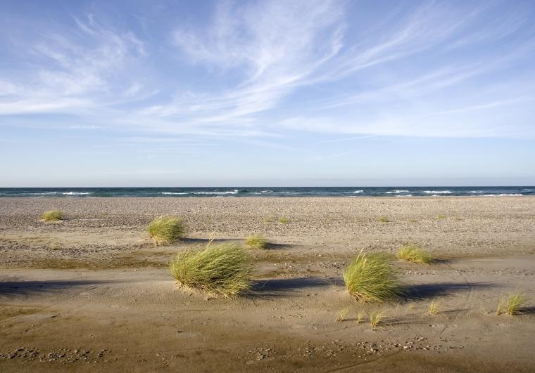 Urlaub Djursland Strand