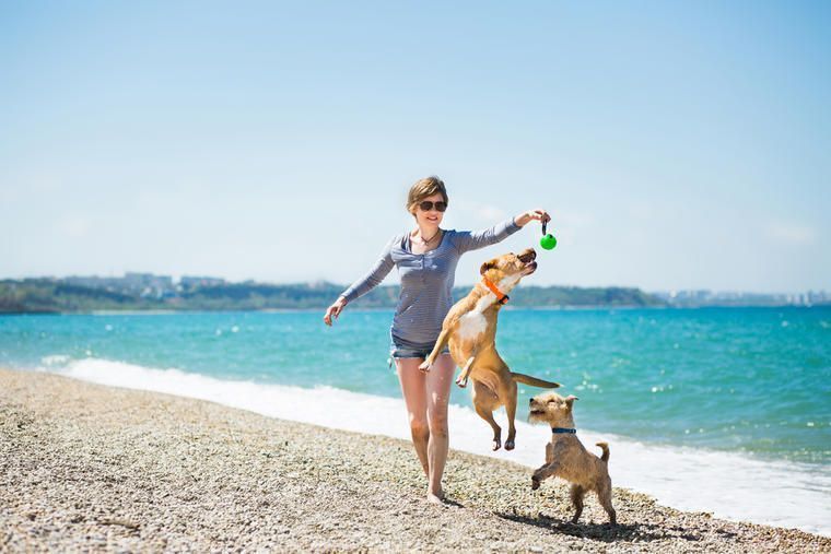 Urlaub im Ferienhaus Kroatien mit Hund NOVASOL.de