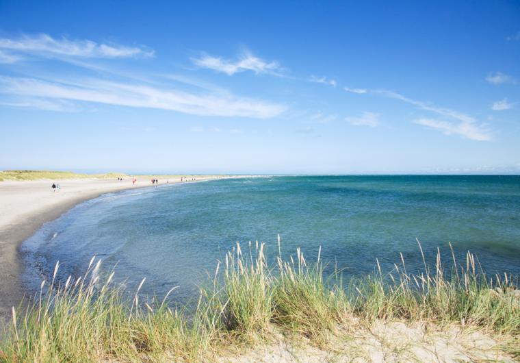 Ferienwohnung Oder Ferienhaus Skagen Mieten Novasol De