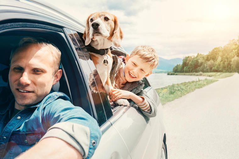 Urlaub Im Ferienhaus Kroatien Mit Hund Novasol De
