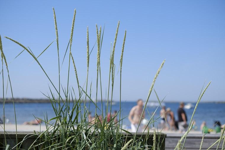 Urlaub Helsingör