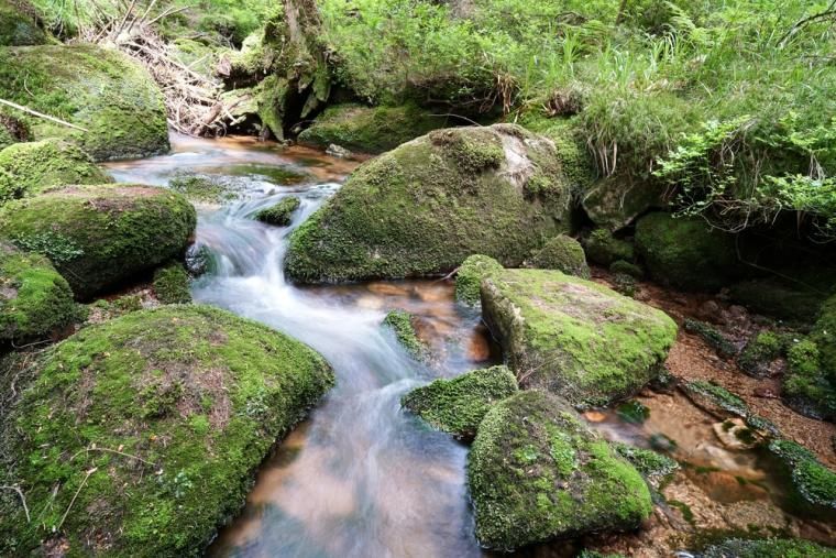 Harz Urlaub