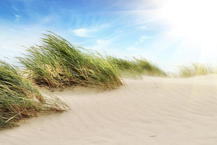 Urlaub Bönnerup