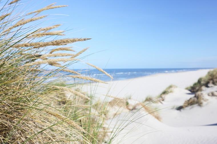 Strande In Sudseeland An Der Ostsee Novasol De
