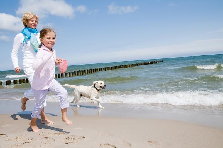 Urlaub mit Hund an der polnischen Ostsee NOVASOL.de Urlaub mit Hund an der polnischen Ostsee NOVASOL.de