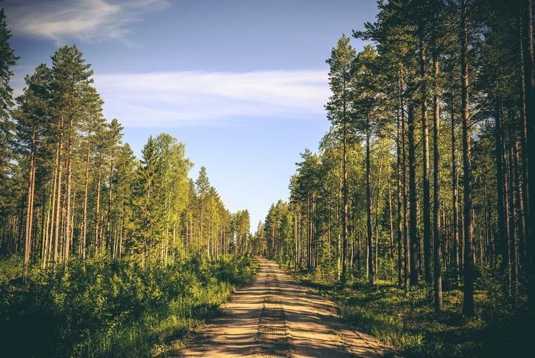 Urlaub In Norrbotten Schweden Novasol De