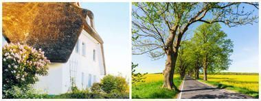 Ferienanlage Rügen Wreechen