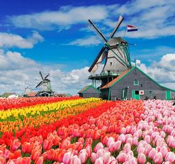 Ferienhäuser Niederlande