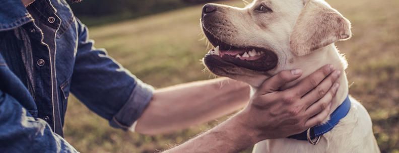 Mann mit Hund