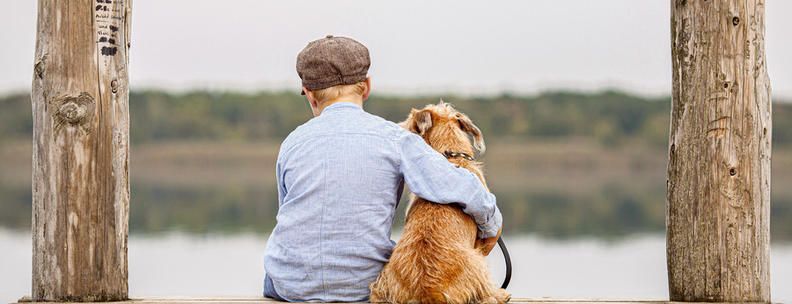 Ferienpark Holland mit Hund