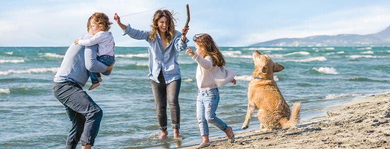 Herbsturlaub Südeuropa Hund