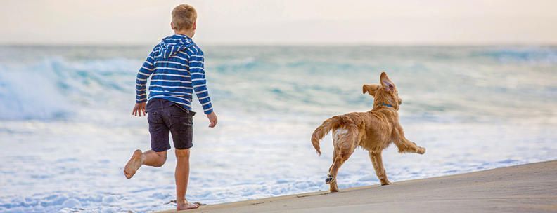 Junge mit Hund an Hollands Nordseeküste
