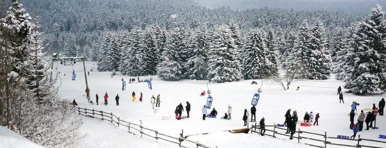Rodeln Winterurlaub Thüringen