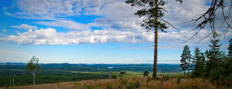 Dalarna Schweden Natur