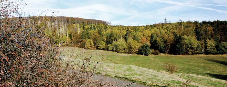 Frankenau Natur Hessen