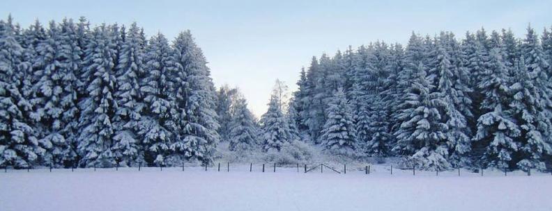 Verschneiter Wald Sauerland