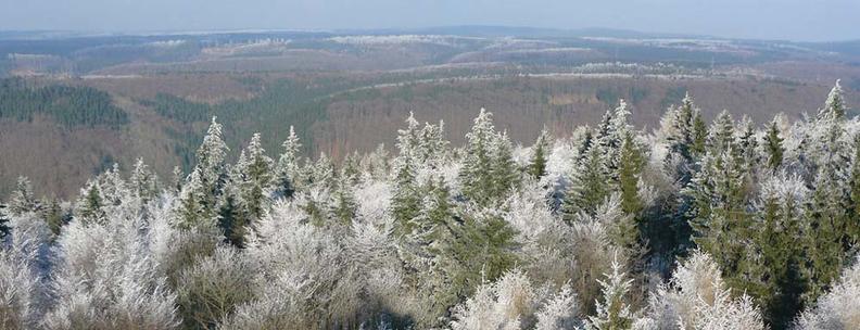 Winterwald Thüringen