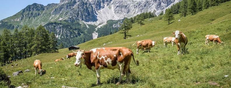 Salzburger Land, Österreich